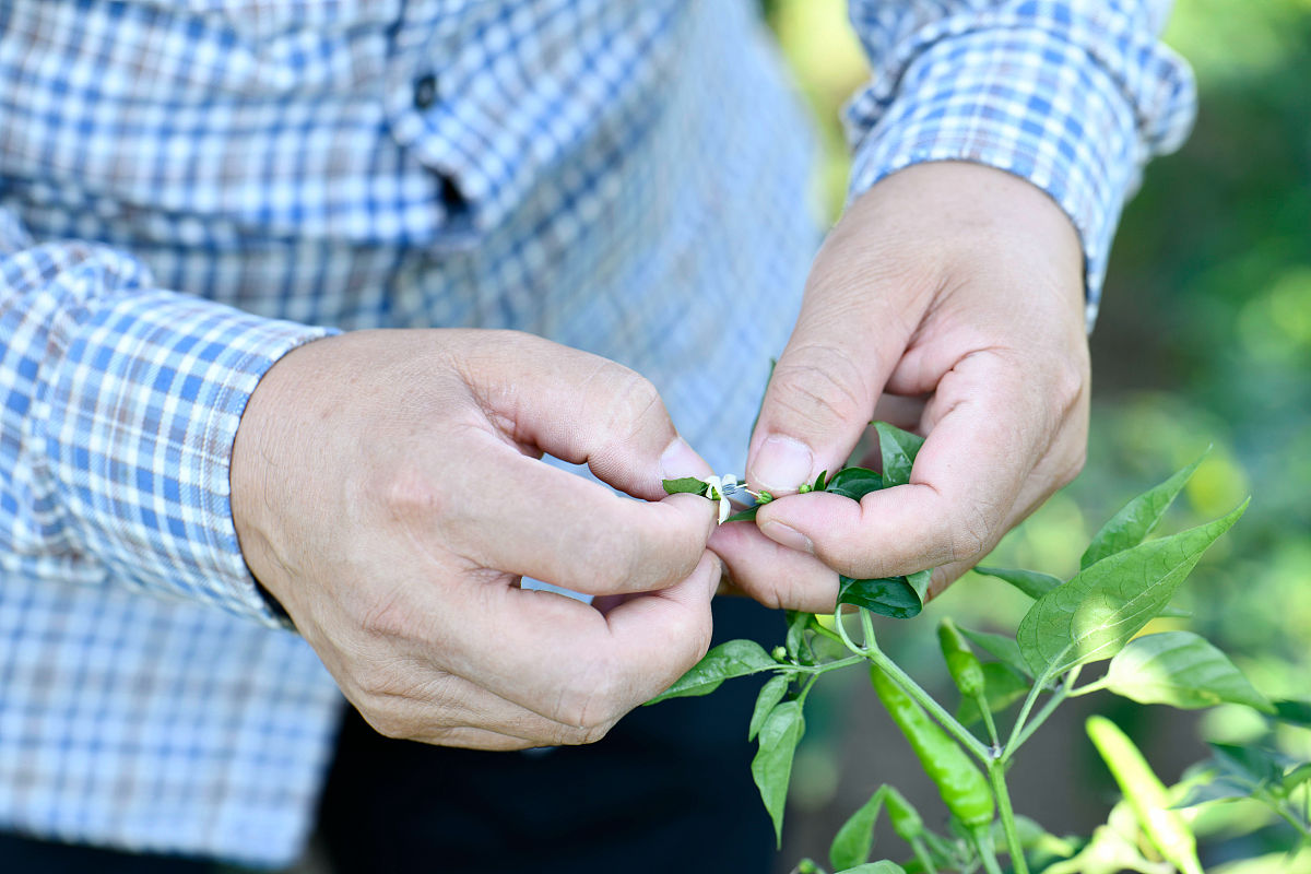 贵州建设学校2022年招生简章 - 贵州省教育局