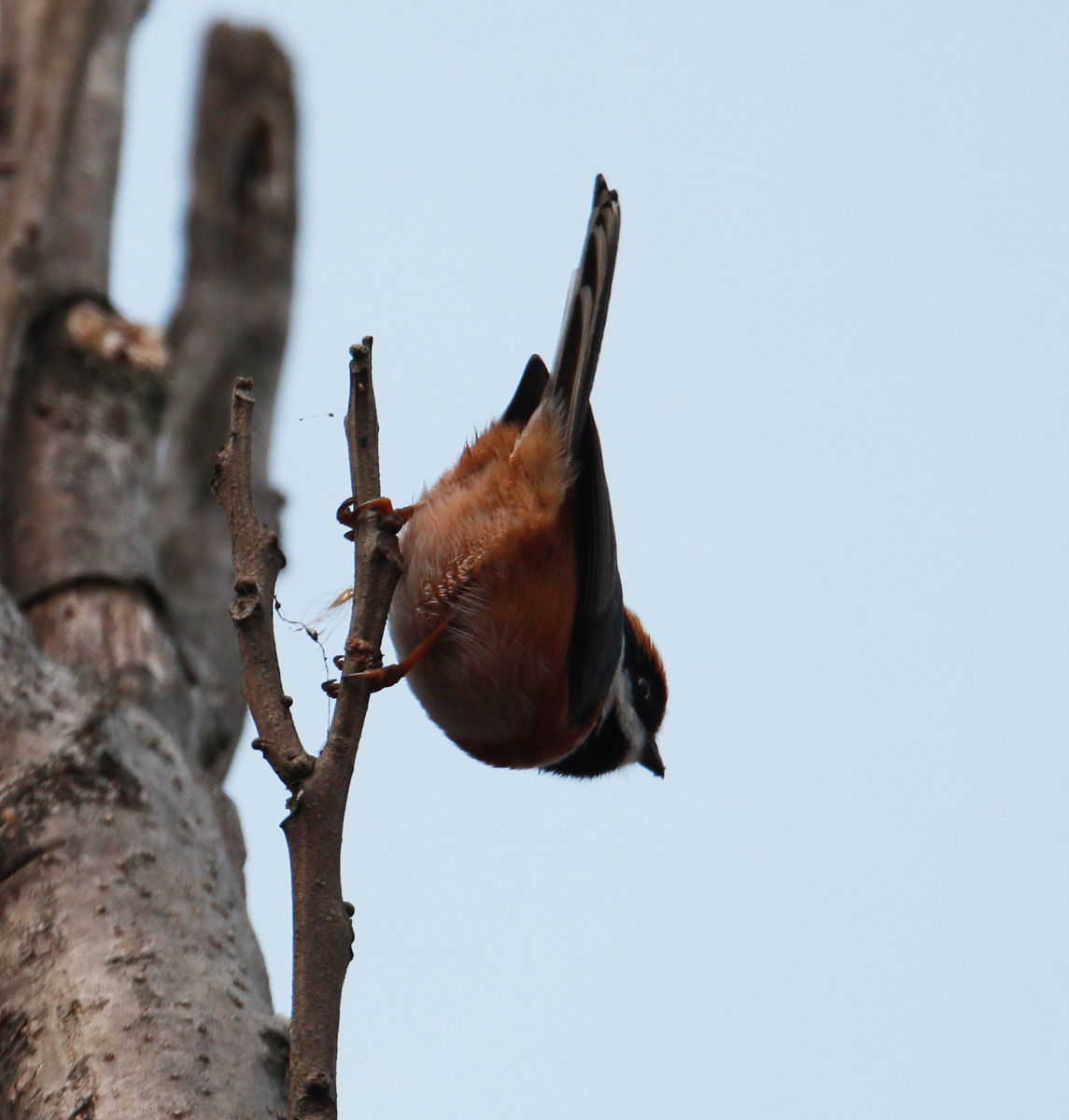 宜昌卫校2022年录取分数线预测 - 了解最新招生信息