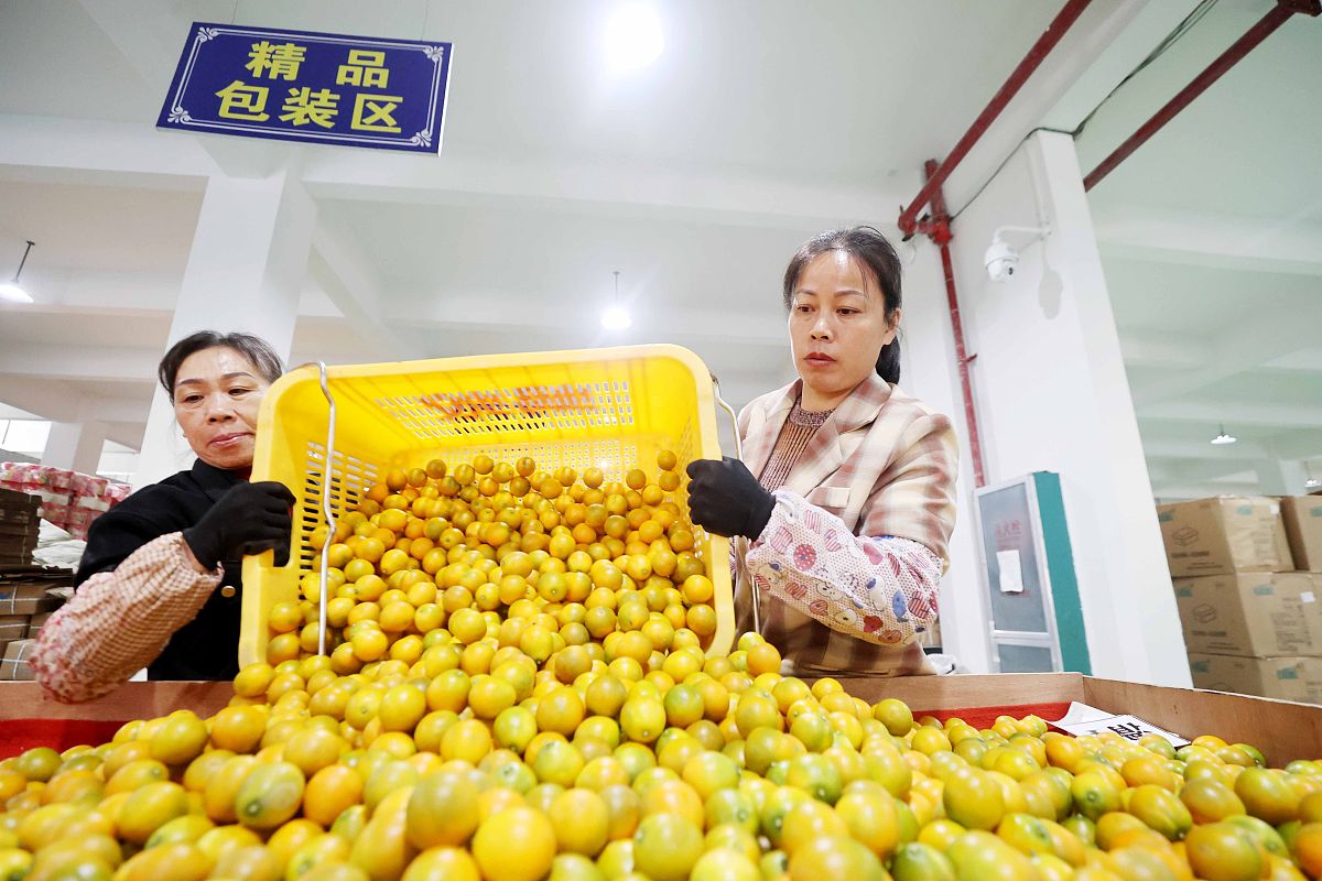 山东文化产业职业学院铁路物流管理专业好就业吗