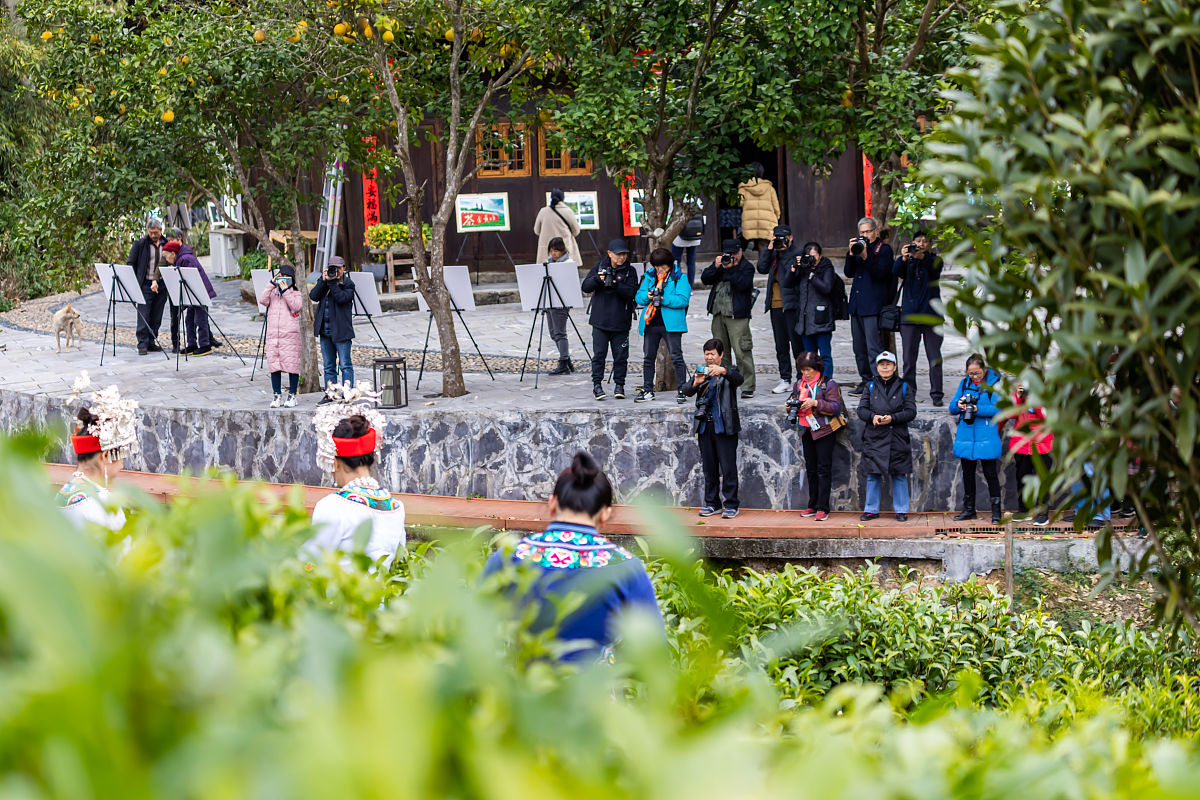 乡村文化亲子游创业项目：打造慢生活新体验