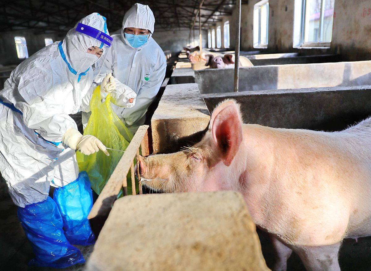 犊牛新蛔虫病的防治措施研究的文献综述写作中中不能抄袭他人原文不少于。