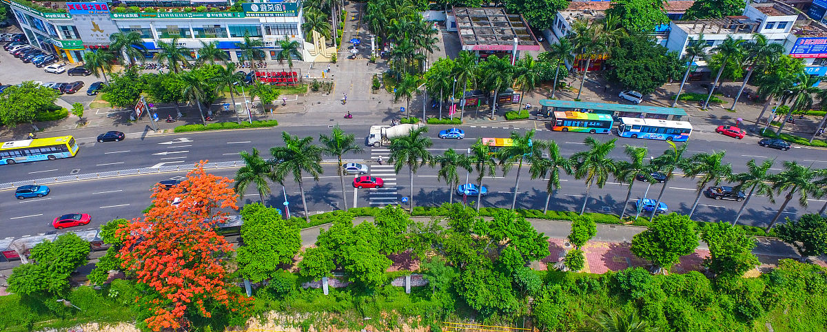 小区建在公园里的弊端：环境、噪音、安全和功能的影响