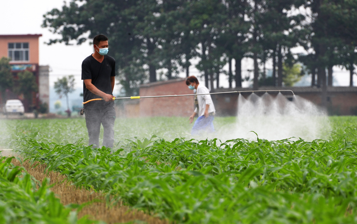 病虫害检测服务，提高作物产量，保障您的收益