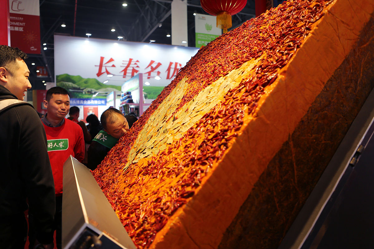(如需下载使用,请务必署名:红星新闻 刘海韵/视觉中国,谢谢)2019年3月