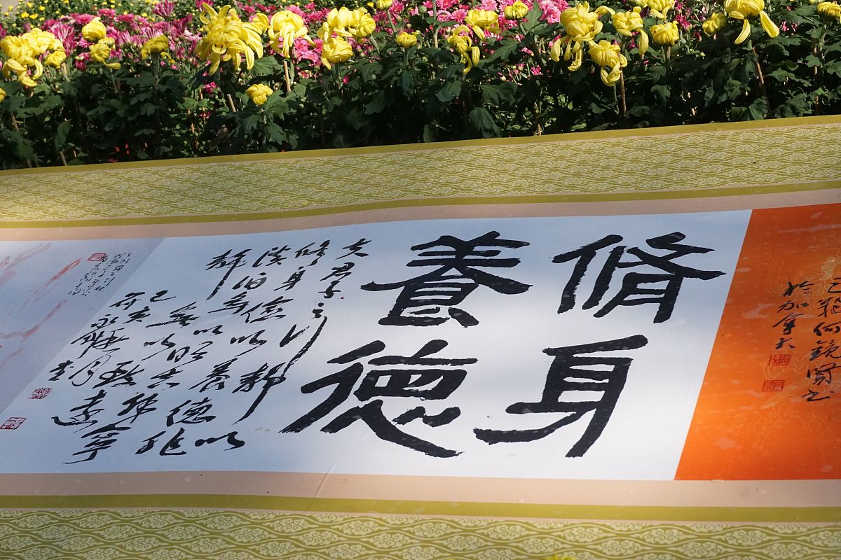 奉公承祖训：传承与发展之间的平衡