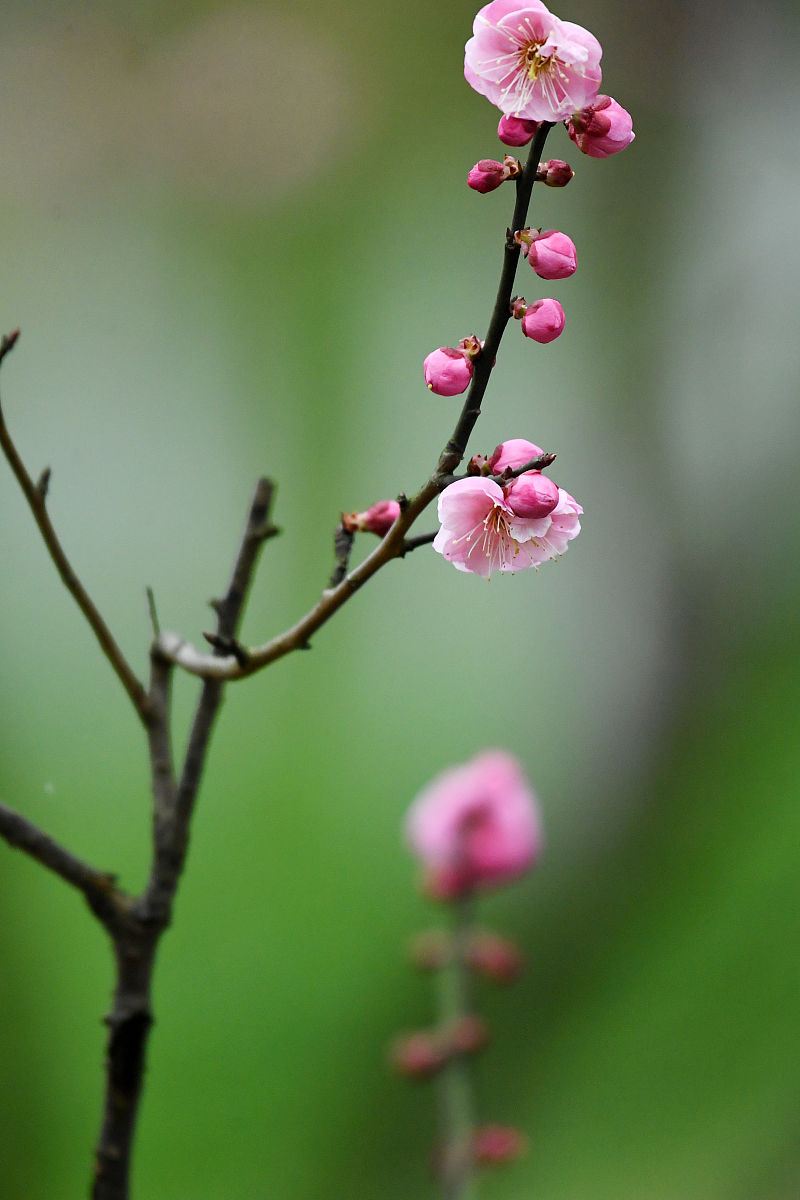仁怀中等职业学校2021年招生简章