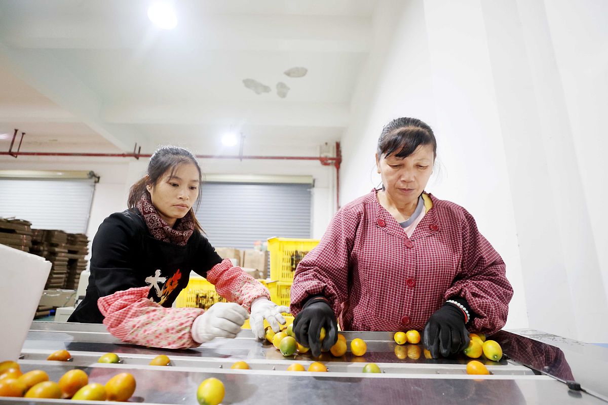 石家庄经济学校电子商务好不好？有什么招生要求