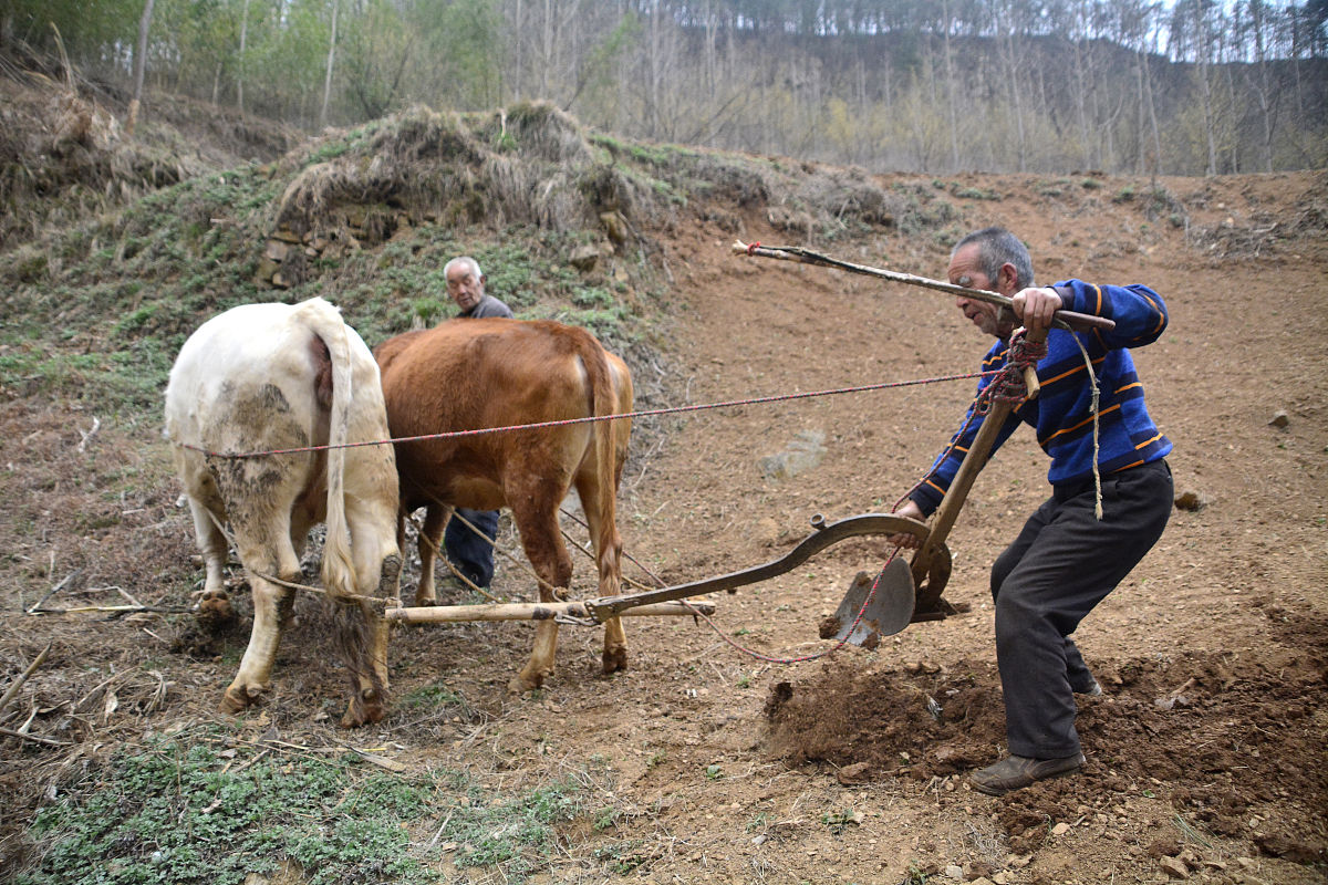 乙丑代表的事物列举100个
