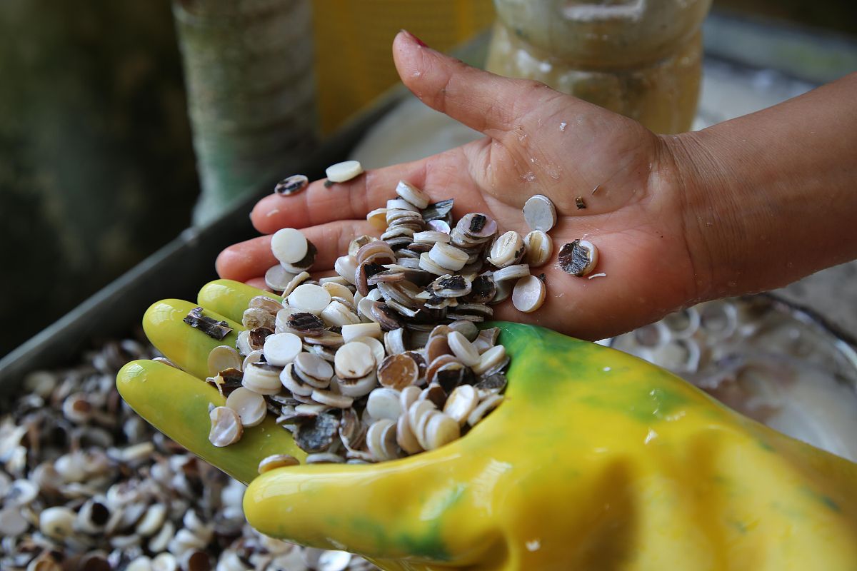 安徽中澳科技职业学院商务日语专业怎么样？深度解析与评价