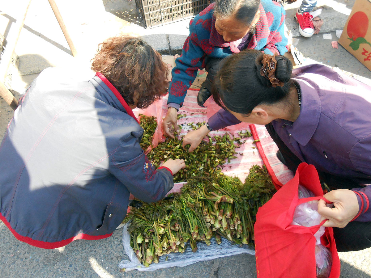 刺老芽炖土豆的家常做法大全 - 三种做法任你选
