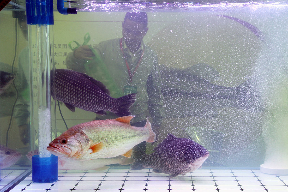 酸铜缸开缸费用及走位技巧