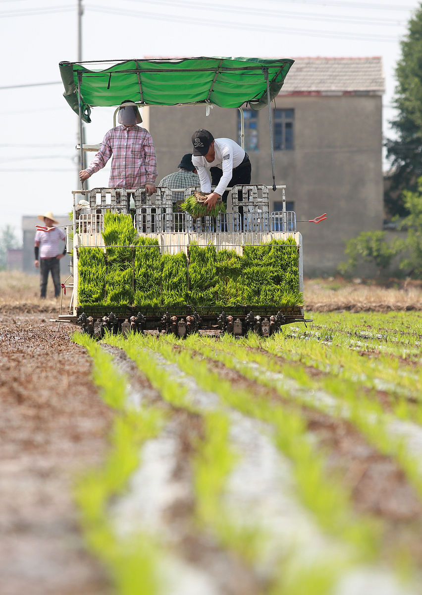 延长县农机推广工作机制健全措施：助力农业机械化发展