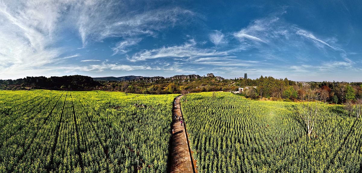 云南省曲靖市农校2019年五年制大专新增专业