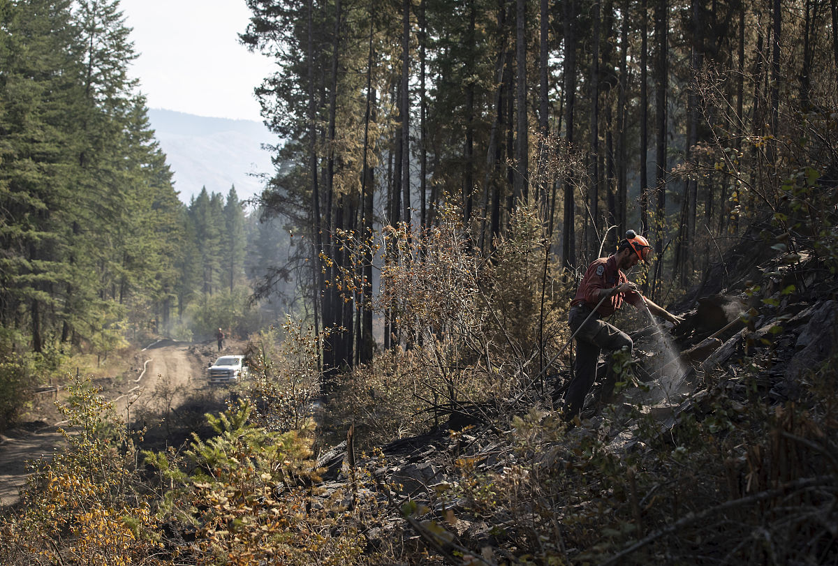 INTERNATIONAL JOURNAL OF WILDLAND FIRE: 野火科学与管理的权威期刊