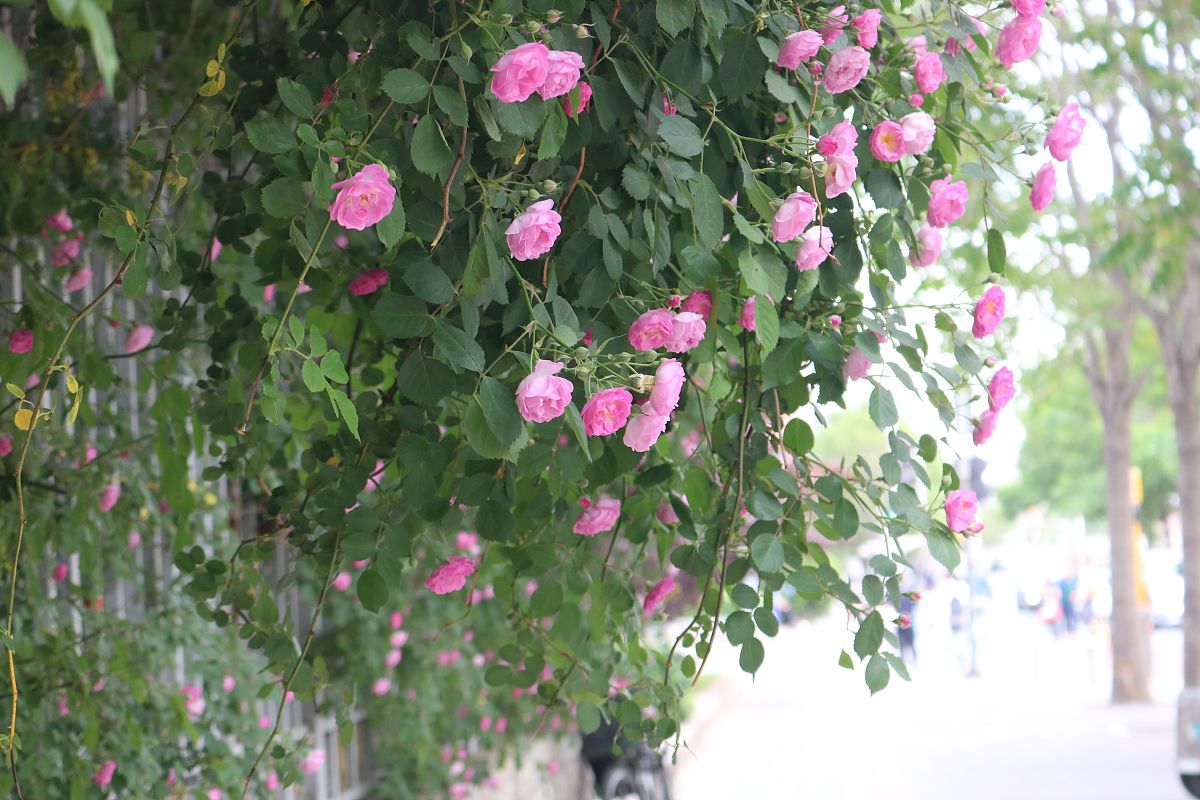 兰州财税学校2021年热门专业是哪些