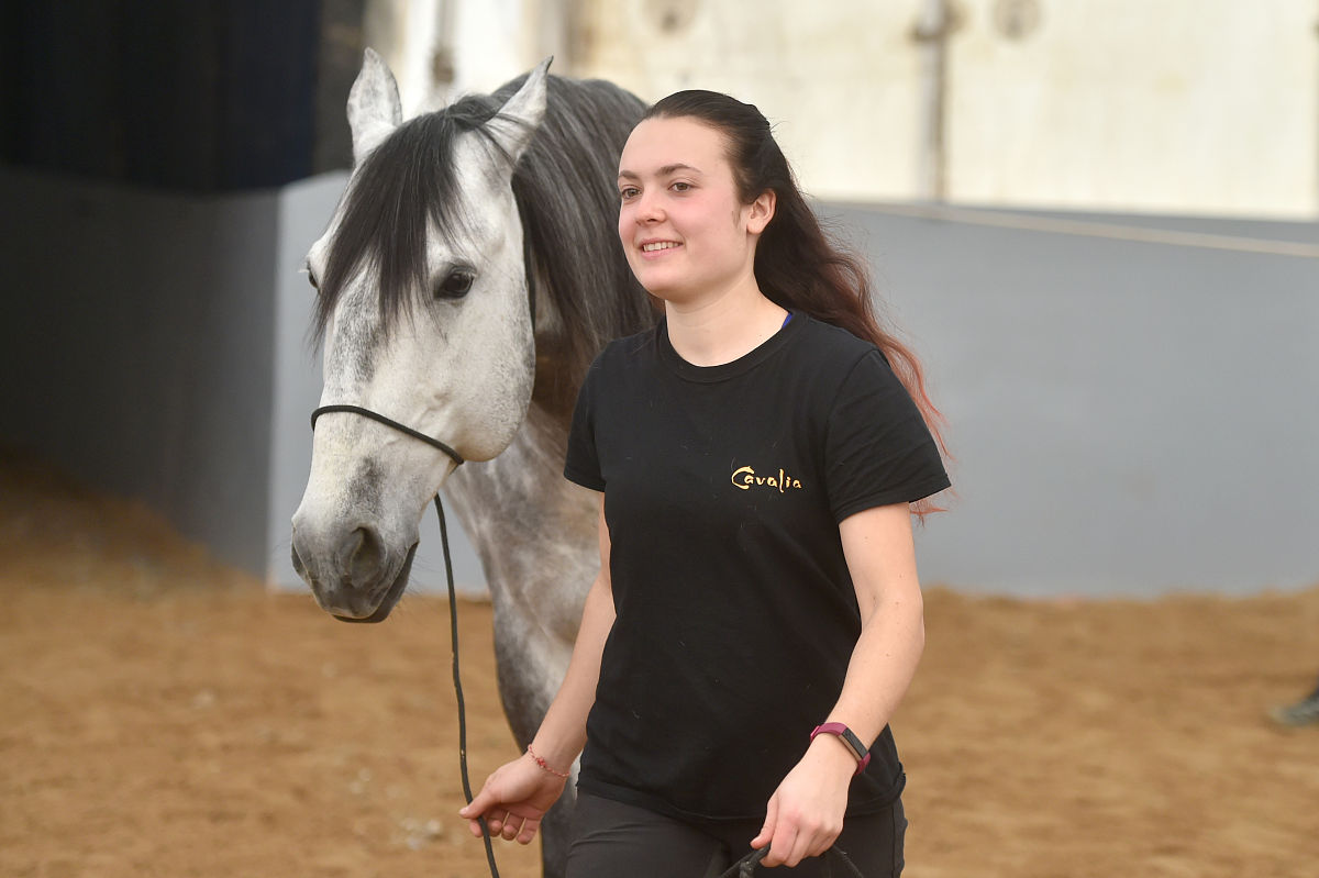 2018年2月7日,加拿大舞台秀《cavalia·舞马》在南京揭开神秘面纱,来