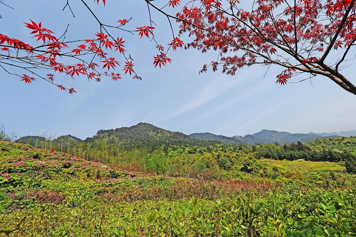 重庆垫江第一职业中学服装设计与工艺专业怎么样?就业前景如何?