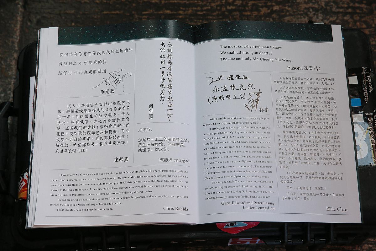 中文翻译、校对与修辞润色助手