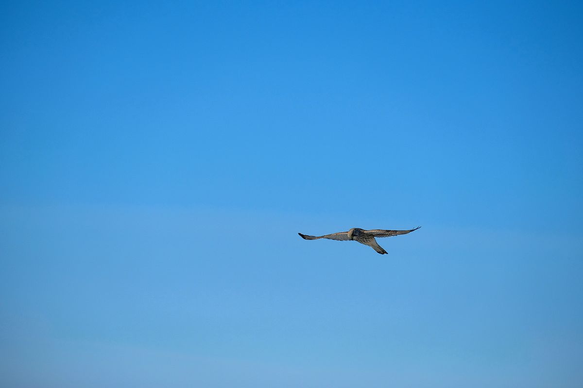 重庆护理职业学院招生专业：2019年专业介绍及优势