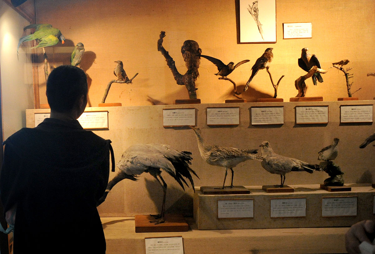 德阳2022年初中生可以去学卫校吗