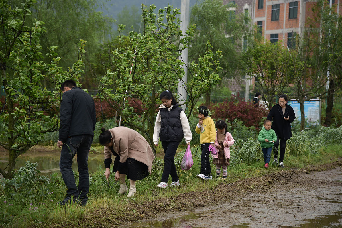 清明节：祭祖、踏青、插柳，感受春天的美好
