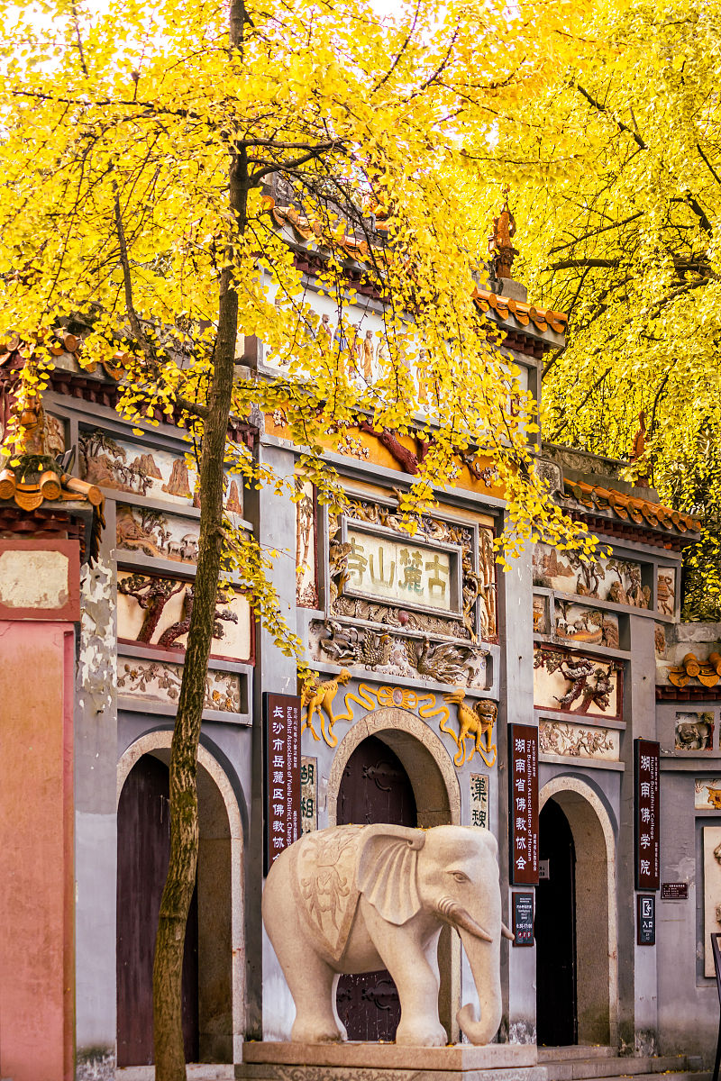 长沙商贸旅游职业技术学院航空服务专业就业前景