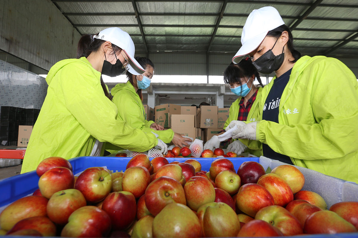 FarmFruit raw material receptionProductionWarehouse of Sub-materials & PackagesWarehouse of ProductsOffice请用通顺的中文翻译以上英文食品加工相关