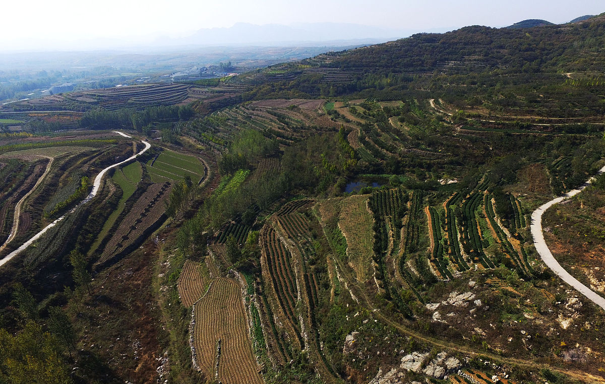 《五莲我们爱你》歌曲鉴赏 - 表达对五莲的热爱与感恩