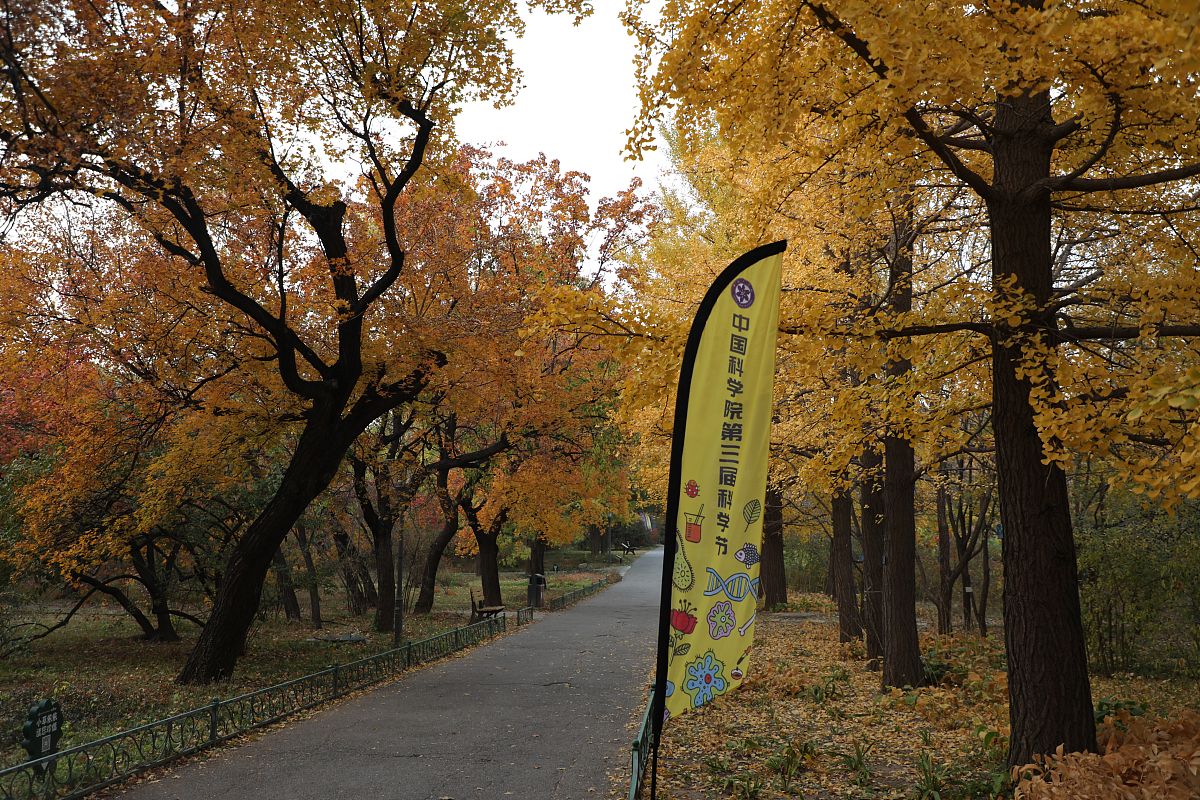 2020年10月29日,北京,中科院第三届科学节将于10月31日盛大开幕,举办