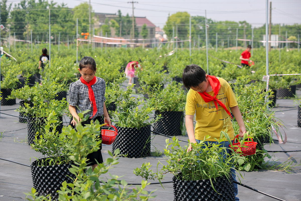 道真职业教育培训中心2022年果蔬花卉生产技术专业招生