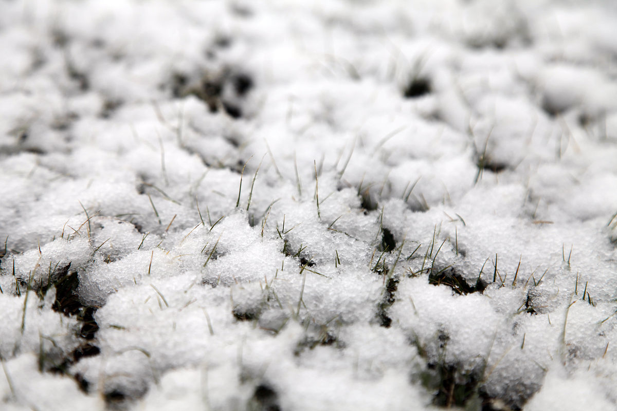 2017年5月1日,新疆哈密,东天山一带大雪飘飞,青青草原上铺上了一层厚
