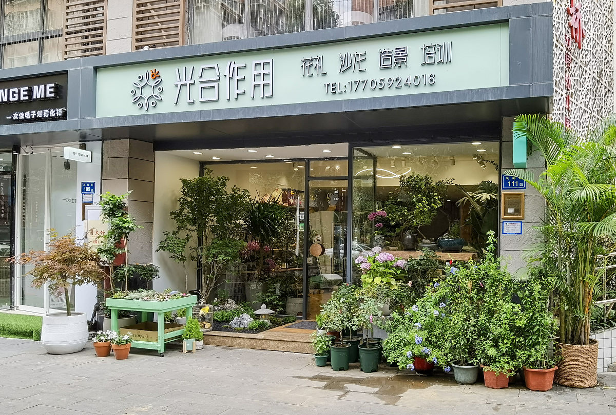 2021年5月18日,福建厦门,光合作用花店.