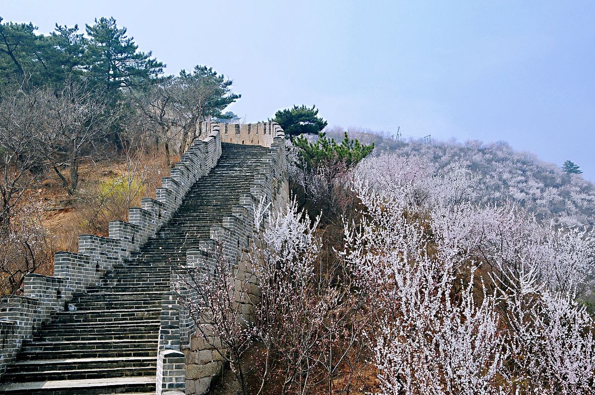 2018年3月31日,登上黄花城水长城,举目远望,漫山遍野的山桃花,将长城