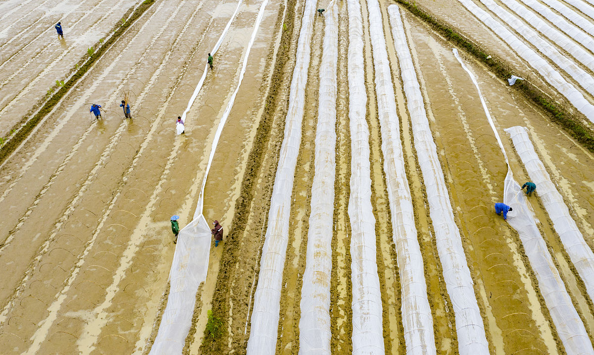 新余公办中专学校推荐：热门专业选择指南