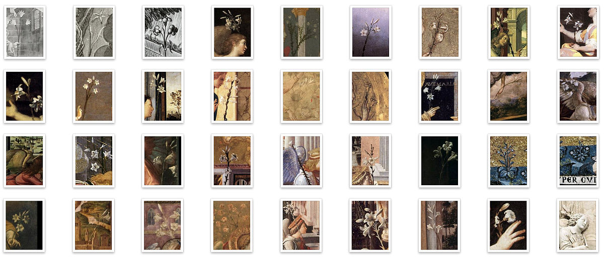 如果要考的教练认证放弃后很后悔怎么办怎么调节