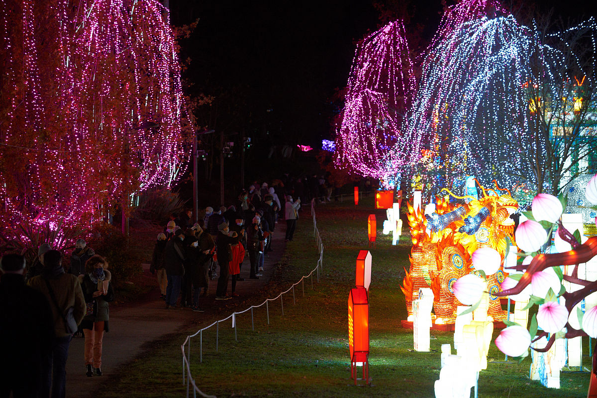 黑衣人抓绒脚本：表格呈现角色对话和场景设定