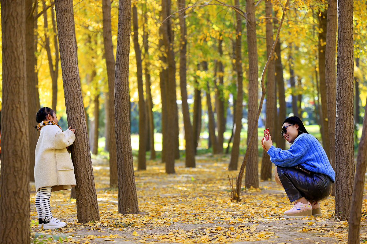河北对外经贸职业学院物流管理专业：课程设置、就业前景