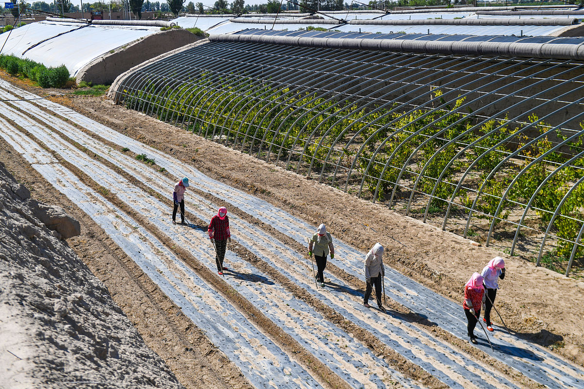 重庆农业学校设施农业技术怎么样招生对象是啥