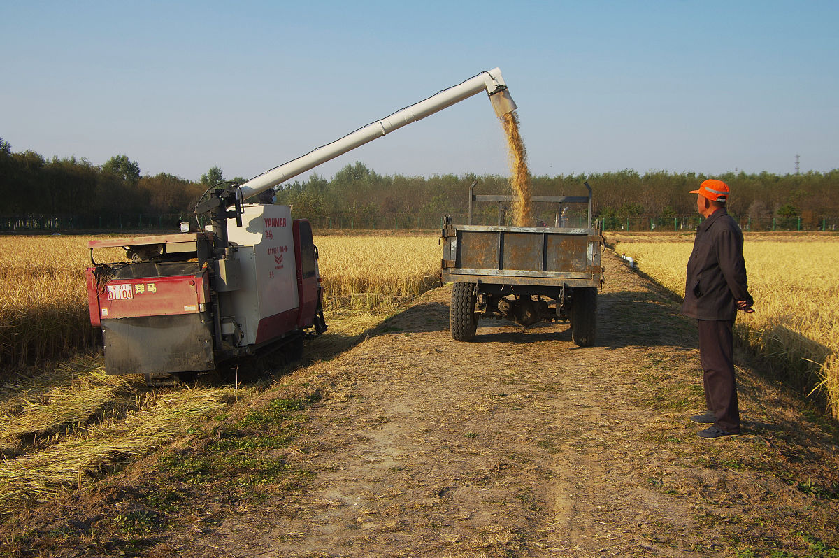 大葱收割机问题解决方案：技术创新、自动化升级、精准切割