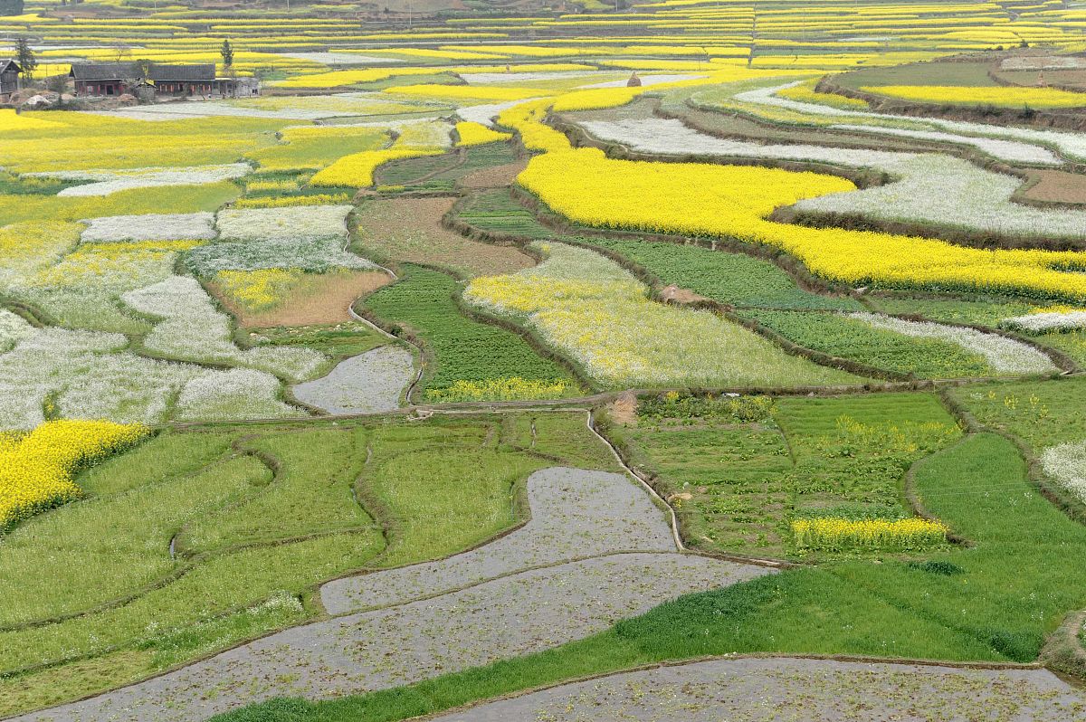 贵州省农业广播电视学校专业介绍：农村经济综合管理专业就业前景