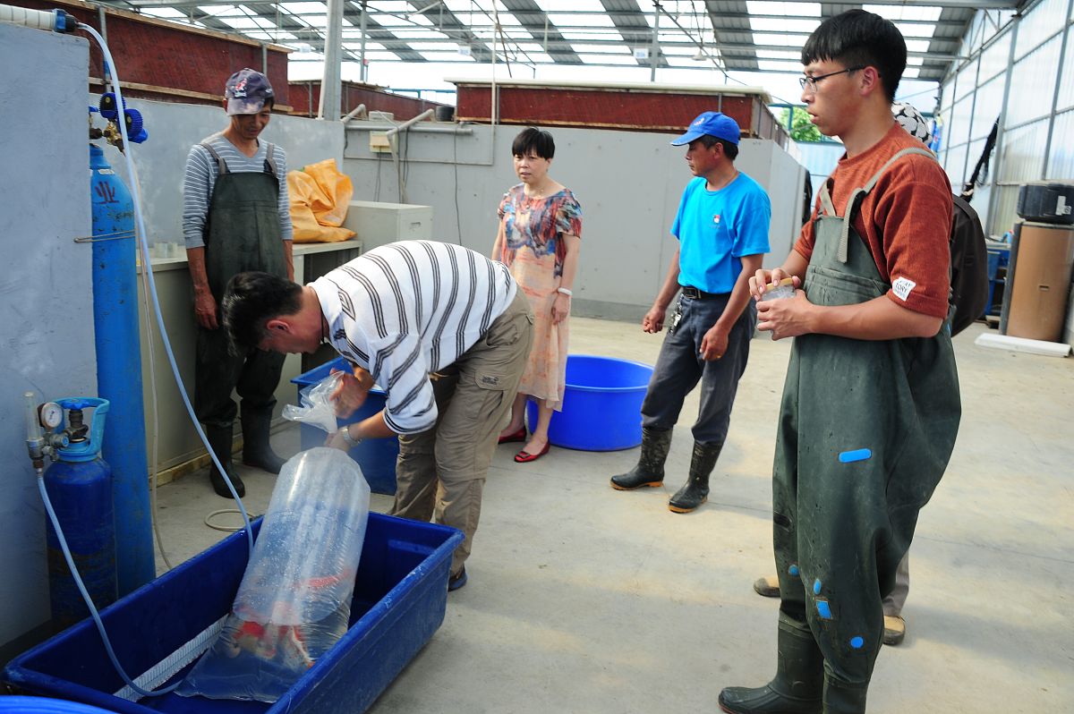 潞安职业技术学院汽车检测与维修技术专业好不好发展前景怎样