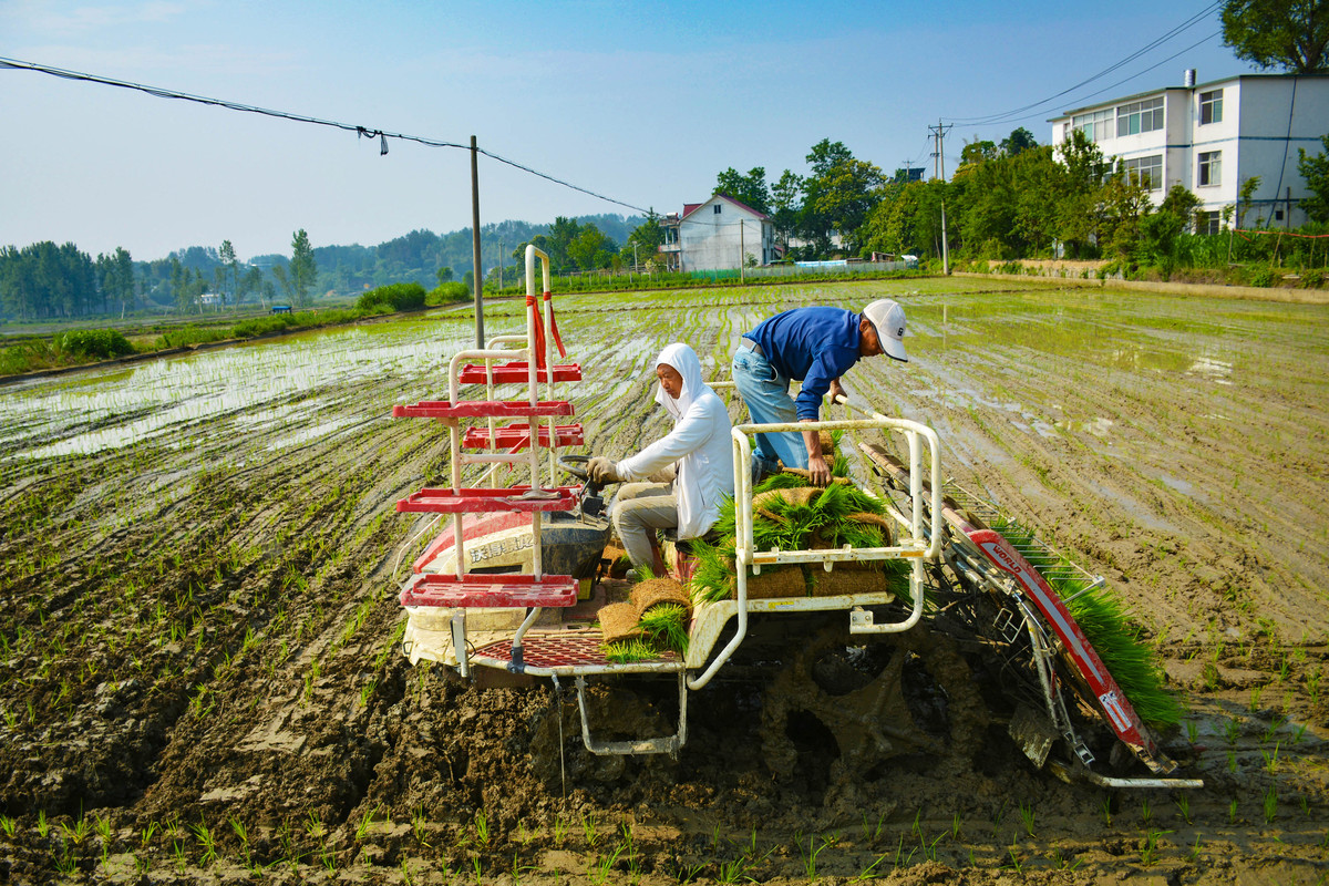 恭城瑶族自治县民族职业教育中心农业机械使用与维护专业：课程内容与就业前景