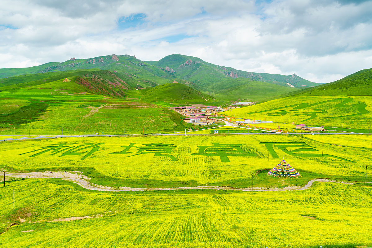 2020年7月8日,甘肃甘南,红山口观景台的油菜花.