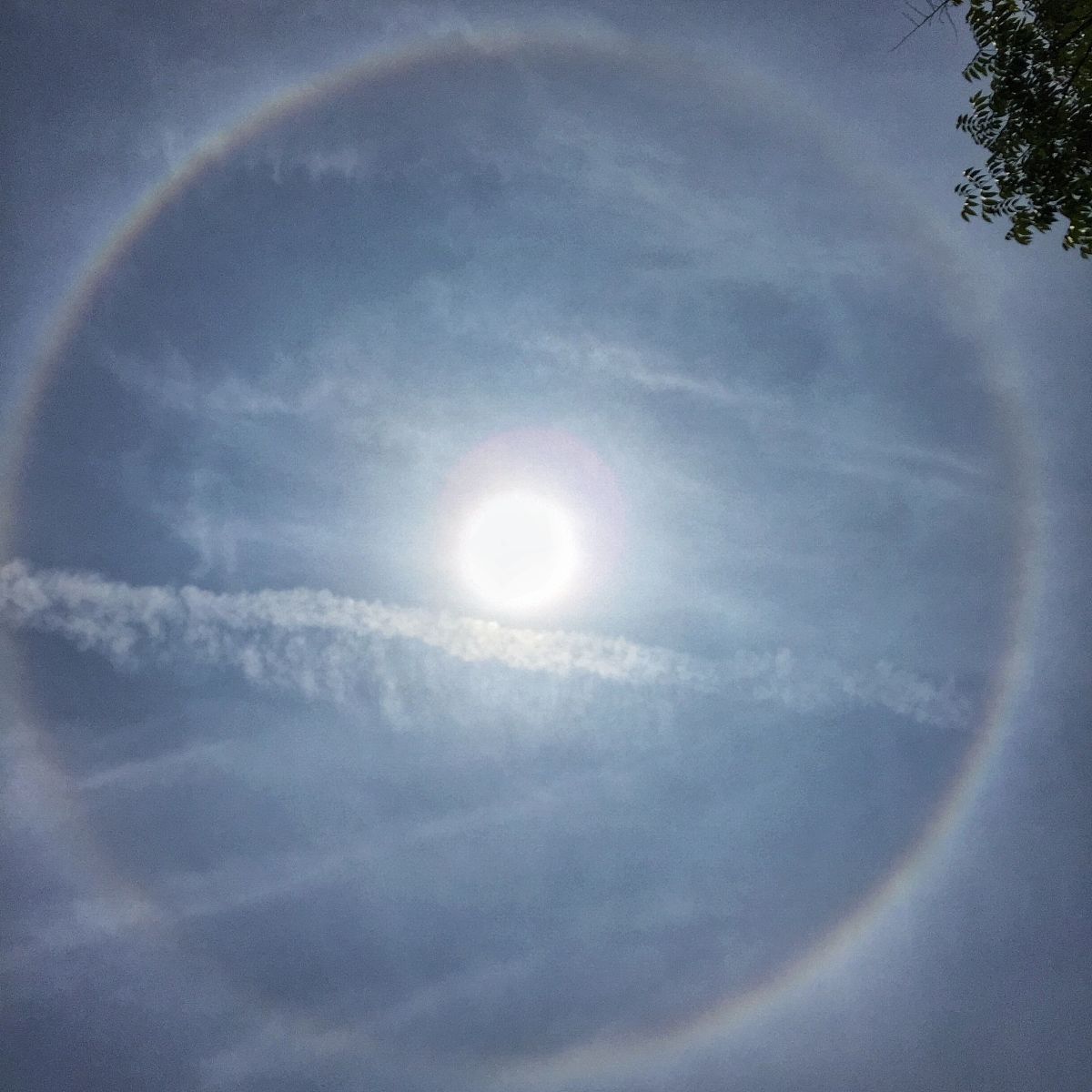 生活中处处都有规律。一天又一天太阳东升西落白天和夜晚交替重复出现每个月的月亮都是这样阴晴圆缺地重复着还有一年四季春夏秋冬的轮回。精简这句话
