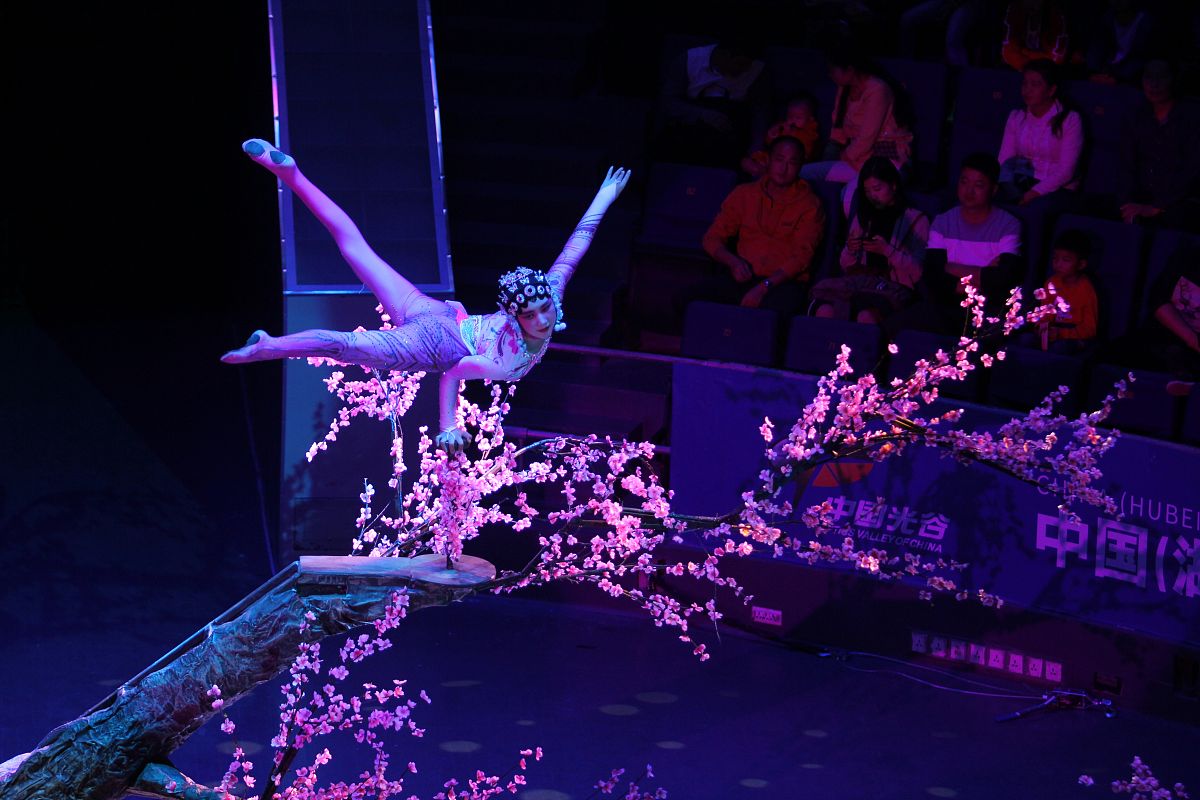 杂技与魔术表演：核心课程与表演者必备素质