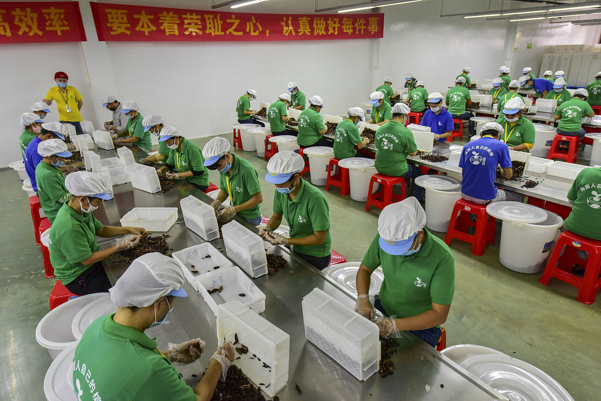 茂名职业技术学院食品加工技术专业就业前景分析：毕业生如何在食品加工企业中发挥作用