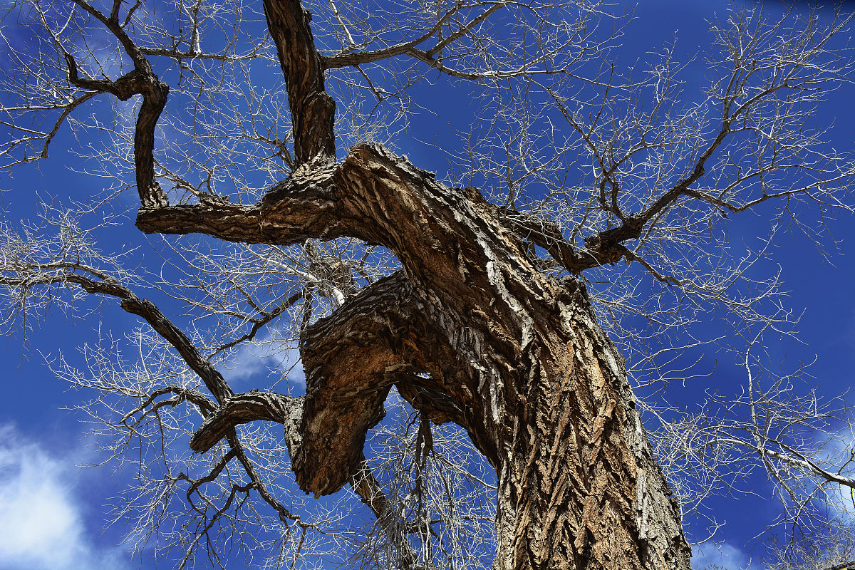 充100给120打了几折怎么算的。