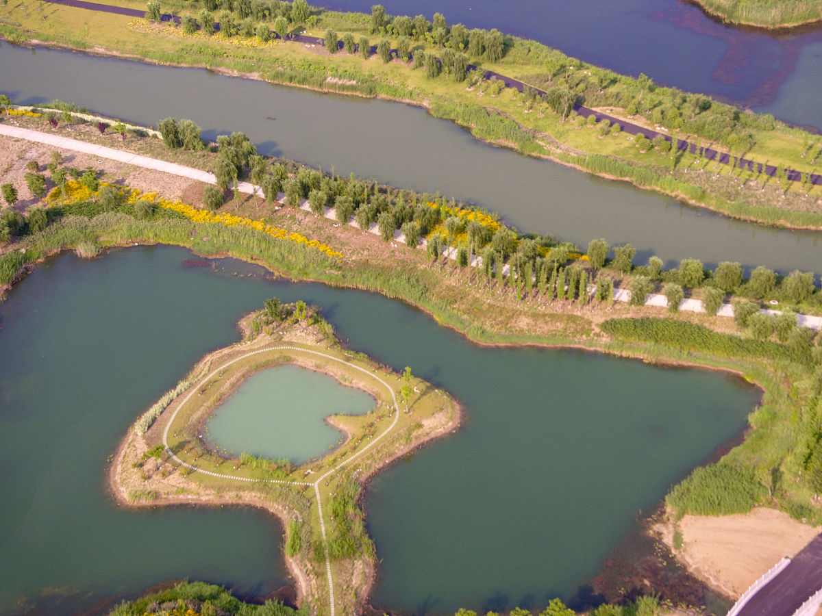 甘肃省兰州市太极岛湿地公园的地貌类型