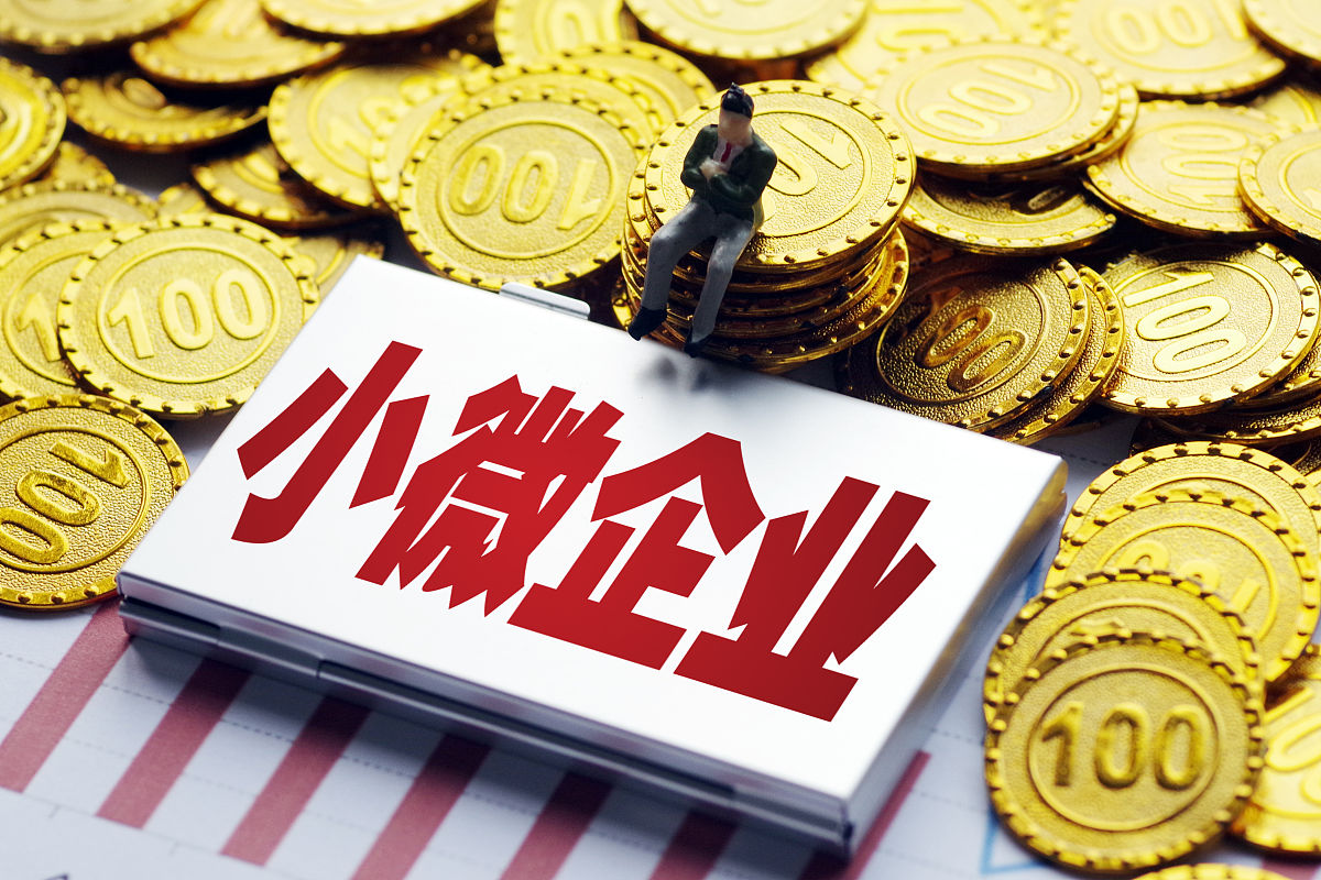 上市企业帮扶计划：助力中小企业发展