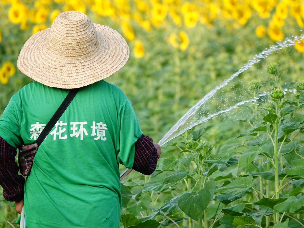 农民的环保责任：保护环境，建设美丽乡村